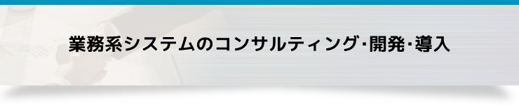業務系システムのコンサルティング･開発･導入