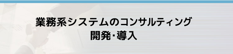 業務系システムのコンサルティング開発･導入